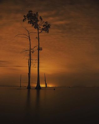 relle-louisiana-lean-4-cypresses